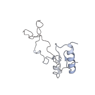 7836_6d9j_e_v1-2
Mammalian 80S ribosome with a double translocated CrPV-IRES, P-sitetRNA and eRF1.