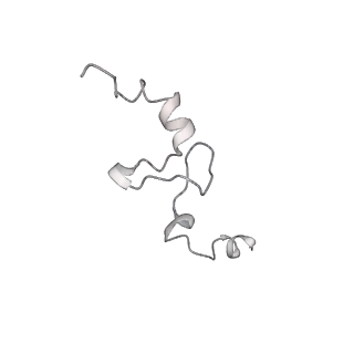 7836_6d9j_ee_v1-2
Mammalian 80S ribosome with a double translocated CrPV-IRES, P-sitetRNA and eRF1.