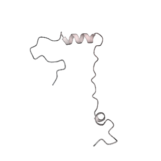 7836_6d9j_ff_v1-2
Mammalian 80S ribosome with a double translocated CrPV-IRES, P-sitetRNA and eRF1.