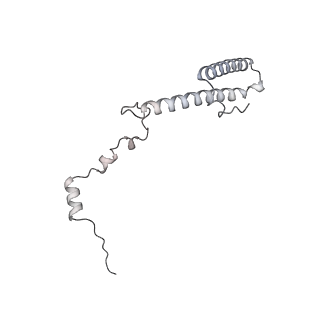 7836_6d9j_h_v1-2
Mammalian 80S ribosome with a double translocated CrPV-IRES, P-sitetRNA and eRF1.