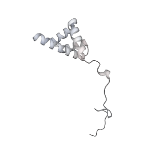 7836_6d9j_i_v1-2
Mammalian 80S ribosome with a double translocated CrPV-IRES, P-sitetRNA and eRF1.
