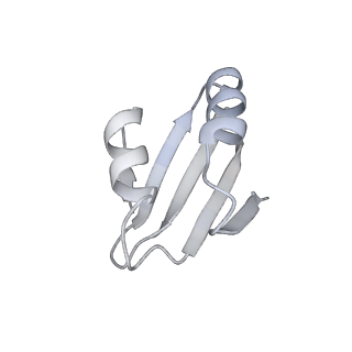 7836_6d9j_k_v1-2
Mammalian 80S ribosome with a double translocated CrPV-IRES, P-sitetRNA and eRF1.
