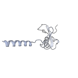 7836_6d9j_p_v1-2
Mammalian 80S ribosome with a double translocated CrPV-IRES, P-sitetRNA and eRF1.