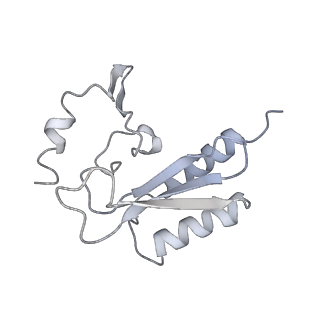 7836_6d9j_r_v1-2
Mammalian 80S ribosome with a double translocated CrPV-IRES, P-sitetRNA and eRF1.