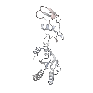 7836_6d9j_s_v1-2
Mammalian 80S ribosome with a double translocated CrPV-IRES, P-sitetRNA and eRF1.