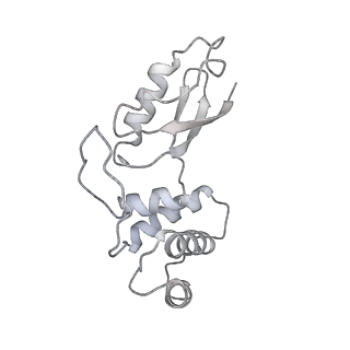 7836_6d9j_t_v1-2
Mammalian 80S ribosome with a double translocated CrPV-IRES, P-sitetRNA and eRF1.