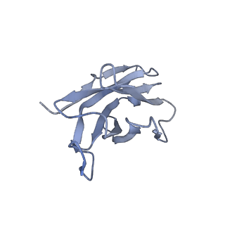 27270_8dad_H_v1-1
SARS-CoV-2 receptor binding domain in complex with AZ090 Fab