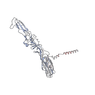 27271_8dan_A_v1-0
CryoEM structure of Western equine encephalitis virus VLP in complex with the avian MXRA8 receptor