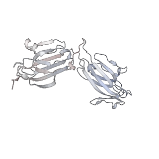 27271_8dan_C_v1-0
CryoEM structure of Western equine encephalitis virus VLP in complex with the avian MXRA8 receptor