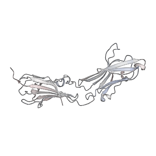 27271_8dan_F_v1-0
CryoEM structure of Western equine encephalitis virus VLP in complex with the avian MXRA8 receptor
