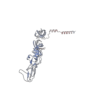 27271_8dan_G_v1-0
CryoEM structure of Western equine encephalitis virus VLP in complex with the avian MXRA8 receptor