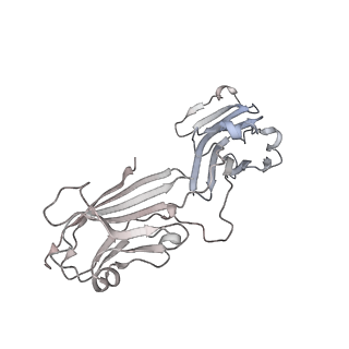 27271_8dan_I_v1-0
CryoEM structure of Western equine encephalitis virus VLP in complex with the avian MXRA8 receptor