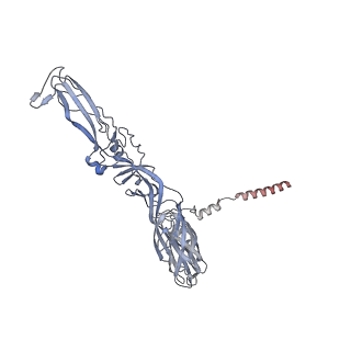27272_8daq_A_v1-0
CryoEM structure of Western equine encephalitis virus VLP