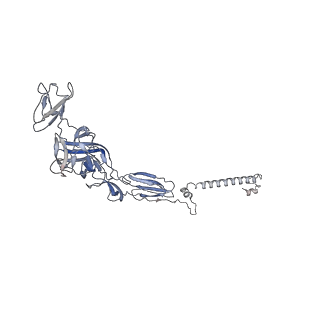 27272_8daq_B_v1-0
CryoEM structure of Western equine encephalitis virus VLP