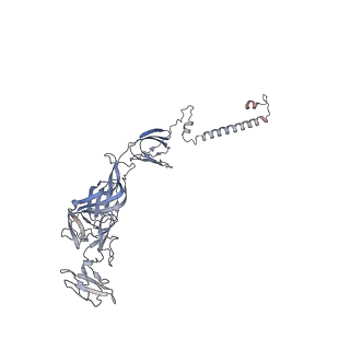 27272_8daq_F_v1-0
CryoEM structure of Western equine encephalitis virus VLP