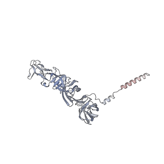 27272_8daq_G_v1-0
CryoEM structure of Western equine encephalitis virus VLP