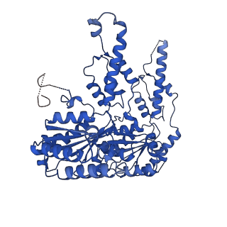 27273_8dar_F_v1-1
Saccharomyces cerevisiae Ufd1/Npl4/Cdc48 complex unbound but in the presence of SUMO-ubiquitin(K48polyUb)-mEOS and ATP