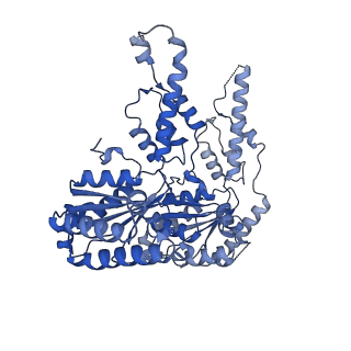 27274_8das_F_v1-1
Saccharomyces cerevisiae Ufd1/Npl4/Cdc48 complex bound to two ubiquitin moieties in presence of SUMO-ubiquitin(K48polyUb)-mEOS and ATP, state 1 (intA)