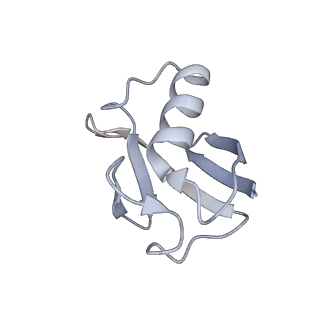 27274_8das_K_v1-1
Saccharomyces cerevisiae Ufd1/Npl4/Cdc48 complex bound to two ubiquitin moieties in presence of SUMO-ubiquitin(K48polyUb)-mEOS and ATP, state 1 (intA)
