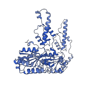 27275_8dat_F_v1-1
Saccharomyces cerevisiae Ufd1/Npl4/Cdc48 complex bound to three ubiquitin moieties in presence of SUMO-ubiquitin(K48polyUb)-mEOS and ATP, state 1 (intB)