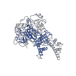 27276_8dau_B_v1-1
Saccharomyces cerevisiae Ufd1/Npl4/Cdc48 complex bound to two folded ubiquitin moieties and one unfolded ubiquitin in presence of SUMO-ubiquitin(K48polyUb)-mEOS and ATP, state 1 (uA)