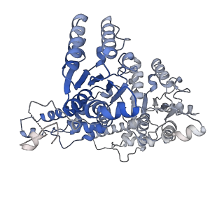 27276_8dau_D_v1-1
Saccharomyces cerevisiae Ufd1/Npl4/Cdc48 complex bound to two folded ubiquitin moieties and one unfolded ubiquitin in presence of SUMO-ubiquitin(K48polyUb)-mEOS and ATP, state 1 (uA)