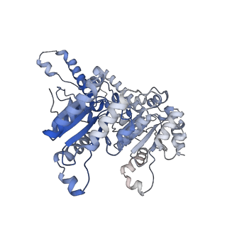 27276_8dau_E_v1-1
Saccharomyces cerevisiae Ufd1/Npl4/Cdc48 complex bound to two folded ubiquitin moieties and one unfolded ubiquitin in presence of SUMO-ubiquitin(K48polyUb)-mEOS and ATP, state 1 (uA)