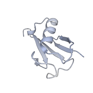 27276_8dau_K_v1-1
Saccharomyces cerevisiae Ufd1/Npl4/Cdc48 complex bound to two folded ubiquitin moieties and one unfolded ubiquitin in presence of SUMO-ubiquitin(K48polyUb)-mEOS and ATP, state 1 (uA)