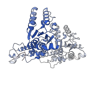 27277_8dav_D_v1-1
Saccharomyces cerevisiae Ufd1/Npl4/Cdc48 complex bound to two ubiquitin moieties and one unfolded ubiquitin in presence of SUMO-ubiquitin(K48polyUb)-mEOS and ATP, state 2 (uC)