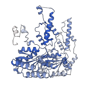 27277_8dav_F_v1-1
Saccharomyces cerevisiae Ufd1/Npl4/Cdc48 complex bound to two ubiquitin moieties and one unfolded ubiquitin in presence of SUMO-ubiquitin(K48polyUb)-mEOS and ATP, state 2 (uC)