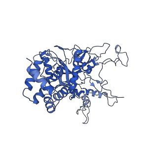 27277_8dav_G_v1-1
Saccharomyces cerevisiae Ufd1/Npl4/Cdc48 complex bound to two ubiquitin moieties and one unfolded ubiquitin in presence of SUMO-ubiquitin(K48polyUb)-mEOS and ATP, state 2 (uC)