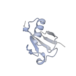 27277_8dav_K_v1-1
Saccharomyces cerevisiae Ufd1/Npl4/Cdc48 complex bound to two ubiquitin moieties and one unfolded ubiquitin in presence of SUMO-ubiquitin(K48polyUb)-mEOS and ATP, state 2 (uC)
