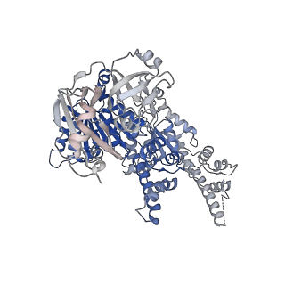27278_8daw_B_v1-1
Saccharomyces cerevisiae Ufd1/Npl4/Cdc48 complex bound to three ubiquitin moieties and one unfolded ubiquitin in presence of SUMO-ubiquitin(K48polyUb)-mEOS and ATP, state 2 (uD)