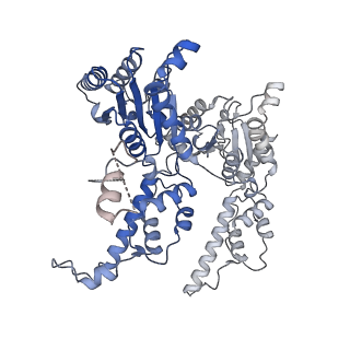 27278_8daw_C_v1-1
Saccharomyces cerevisiae Ufd1/Npl4/Cdc48 complex bound to three ubiquitin moieties and one unfolded ubiquitin in presence of SUMO-ubiquitin(K48polyUb)-mEOS and ATP, state 2 (uD)