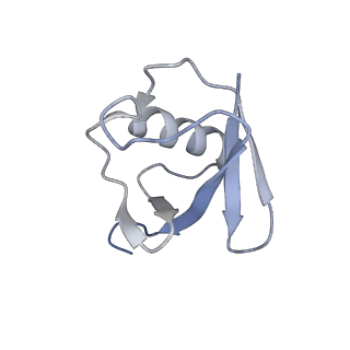 27278_8daw_J_v1-1
Saccharomyces cerevisiae Ufd1/Npl4/Cdc48 complex bound to three ubiquitin moieties and one unfolded ubiquitin in presence of SUMO-ubiquitin(K48polyUb)-mEOS and ATP, state 2 (uD)