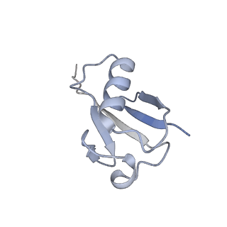 27278_8daw_K_v1-1
Saccharomyces cerevisiae Ufd1/Npl4/Cdc48 complex bound to three ubiquitin moieties and one unfolded ubiquitin in presence of SUMO-ubiquitin(K48polyUb)-mEOS and ATP, state 2 (uD)