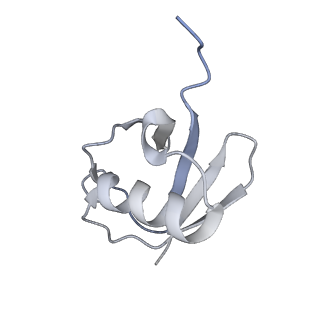 27278_8daw_L_v1-1
Saccharomyces cerevisiae Ufd1/Npl4/Cdc48 complex bound to three ubiquitin moieties and one unfolded ubiquitin in presence of SUMO-ubiquitin(K48polyUb)-mEOS and ATP, state 2 (uD)