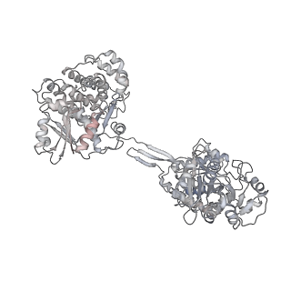 30625_7dag_A_v1-2
Vibrio cholera aldehyde-alcohol dehrogenase