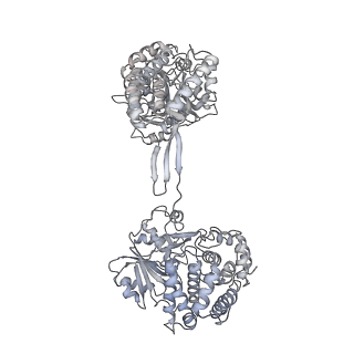 30625_7dag_B_v1-2
Vibrio cholera aldehyde-alcohol dehrogenase