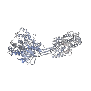 30625_7dag_E_v1-2
Vibrio cholera aldehyde-alcohol dehrogenase