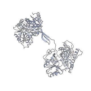 30625_7dag_F_v1-2
Vibrio cholera aldehyde-alcohol dehrogenase