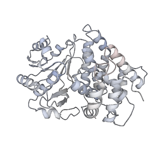 30625_7dag_G_v1-2
Vibrio cholera aldehyde-alcohol dehrogenase