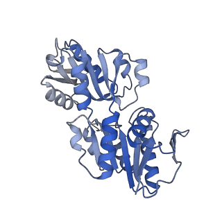 27279_8dbc_B_v1-2
Human PRPS1 with Phosphate; Hexamer