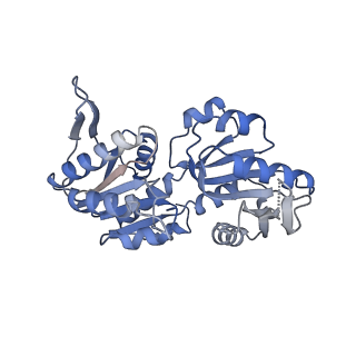 27279_8dbc_C_v1-2
Human PRPS1 with Phosphate; Hexamer