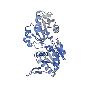 27280_8dbd_A_v1-2
Human PRPS1 with Phosphate; Filament Interface