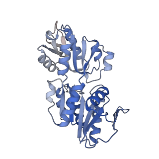 27280_8dbd_B_v1-2
Human PRPS1 with Phosphate; Filament Interface