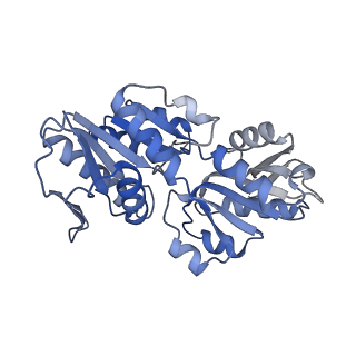 27280_8dbd_D_v1-2
Human PRPS1 with Phosphate; Filament Interface