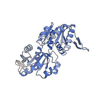27280_8dbd_E_v1-2
Human PRPS1 with Phosphate; Filament Interface