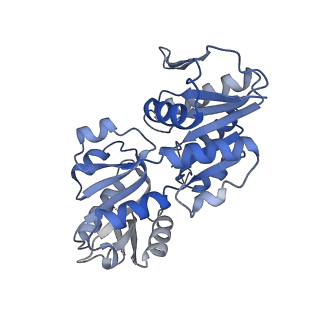 27280_8dbd_F_v1-2
Human PRPS1 with Phosphate; Filament Interface