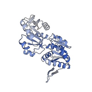 27280_8dbd_G_v1-2
Human PRPS1 with Phosphate; Filament Interface